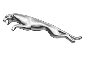 Brands Logo